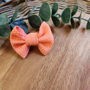 Salmon Itty Bitty Bow on Clip